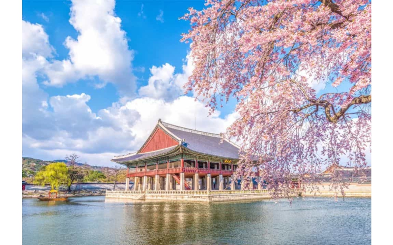 Khám Phá Xứ Sở Kim Chi - Seoul - Nami - Everland