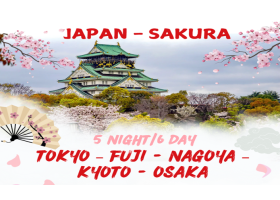 RỰC RỠ SẮC HOA ANH ĐÀO 2026