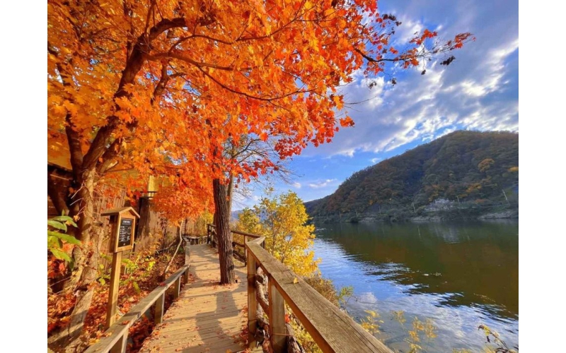 VẺ ĐẸP BỐN MÙA TẠI ĐẢO NAMI