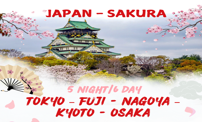 RỰC RỠ SẮC HOA ANH ĐÀO 2026