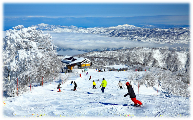 ĐÓN TẾT DƯƠNG LỊCH 2026  NHẬT BẢN